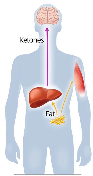 Ketosis mat NexaSlim